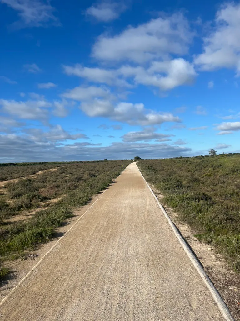 A straight gravel path running to the horizon through low coastal scrub under a wide sky of scattered cloud