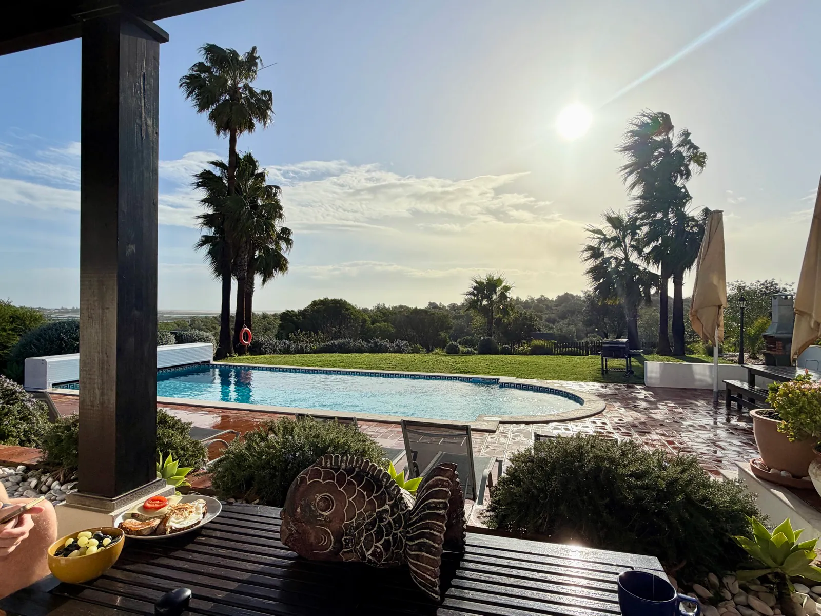 Breakfast laid out on a table under a covered terrace, with a swimming pool, lawn and wind-bent palms beyond in low winter sun