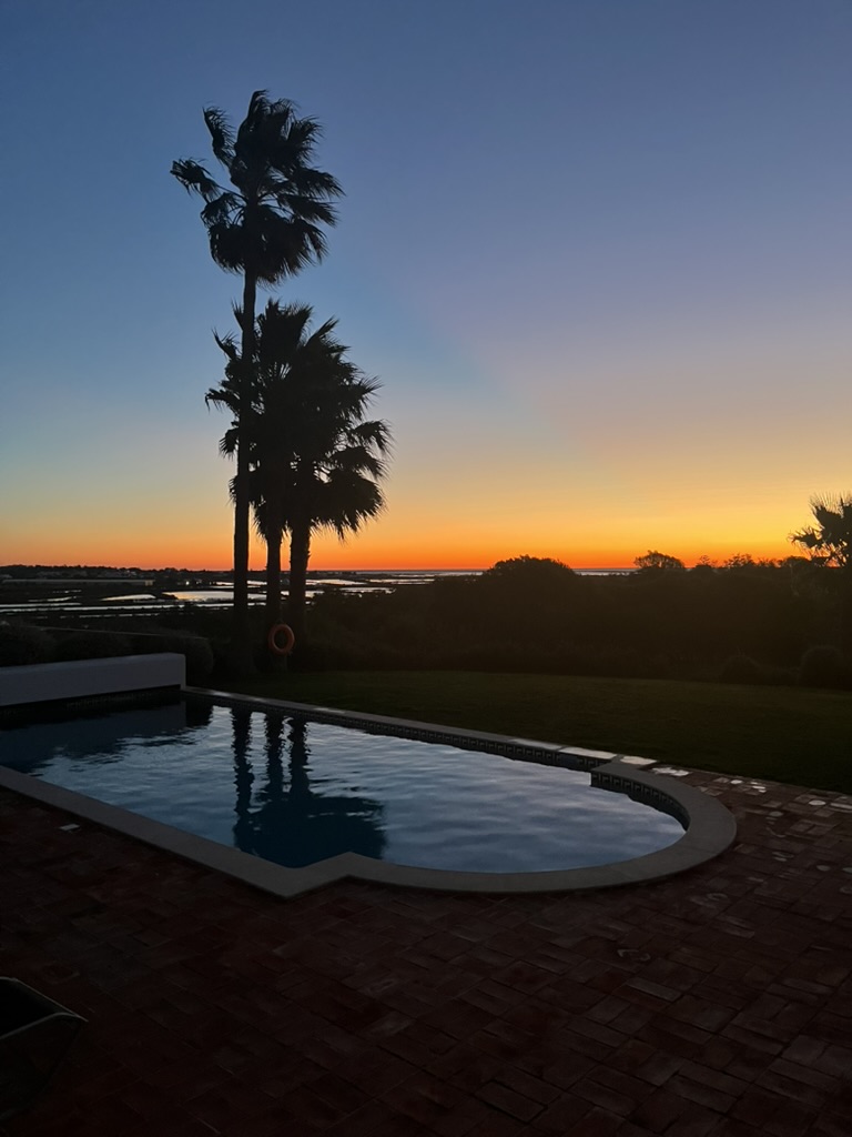 View from a poolside lounger past a rosemary bush to a rectangular outdoor pool, with palms, olive trees and open countryside beyond