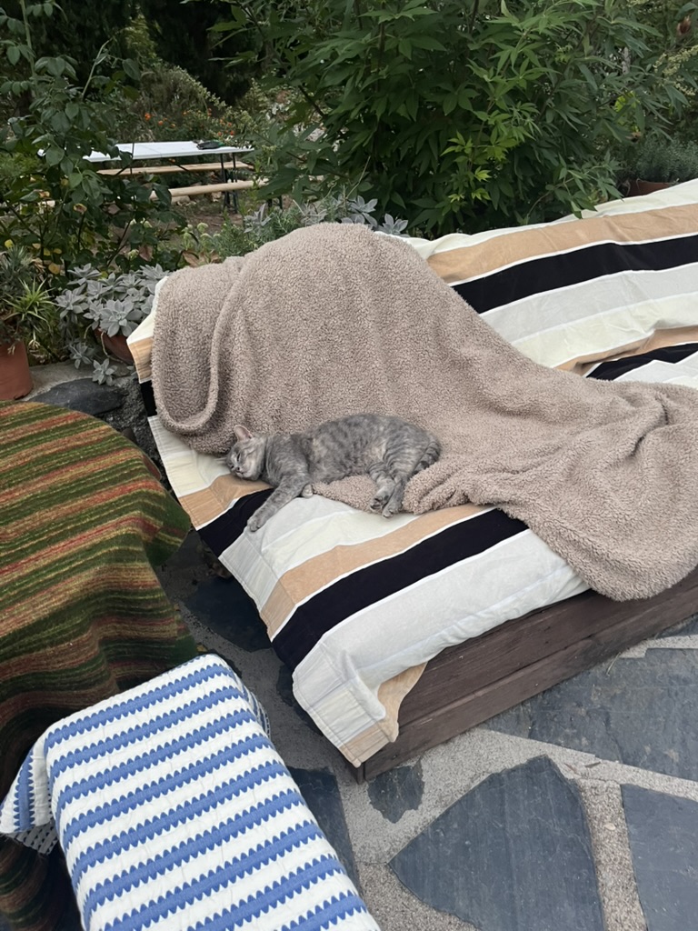 A grey tabby cat asleep on a blanket over a striped outdoor sofa, garden plants and a bench table behind